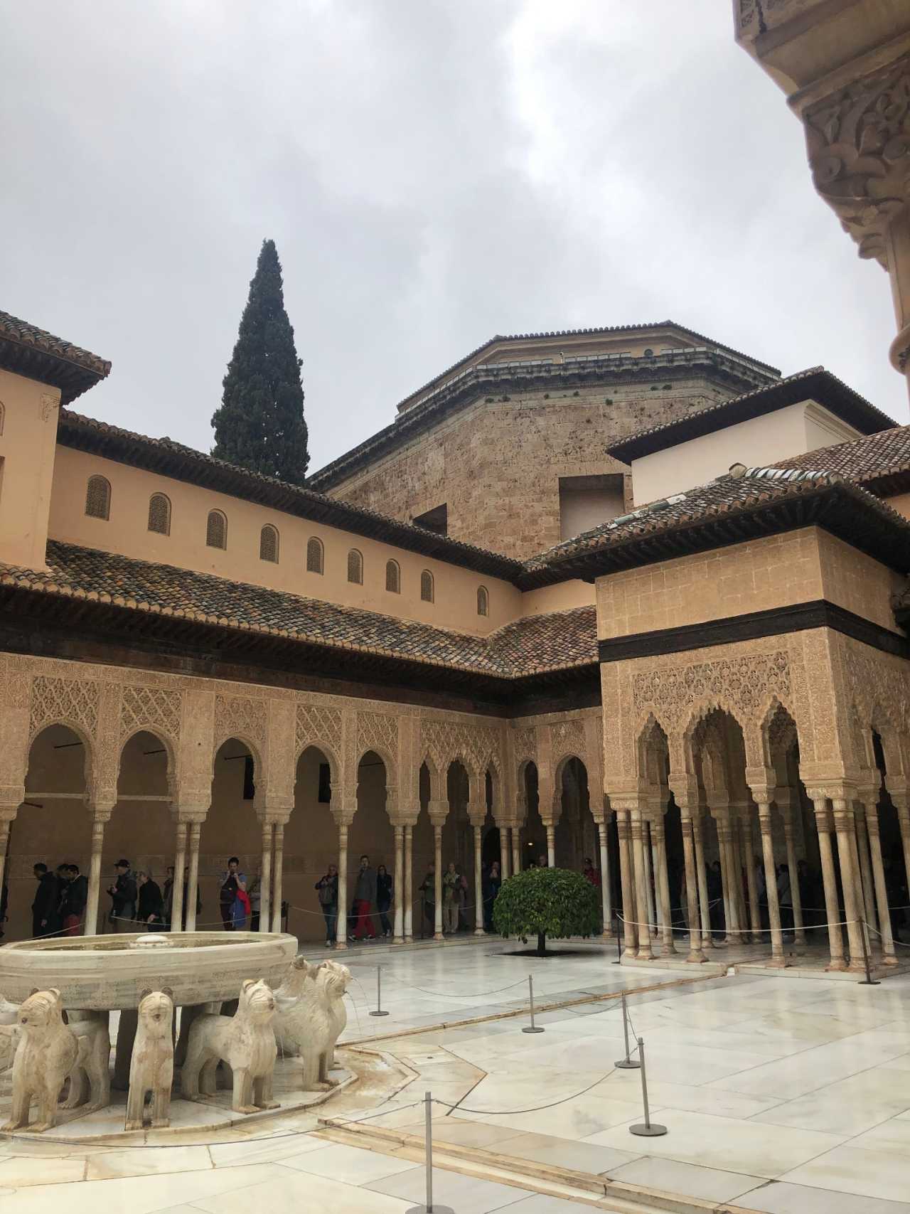 瓦伦西亚主场不敌弗拉门戈，遗憾告负的简单介绍