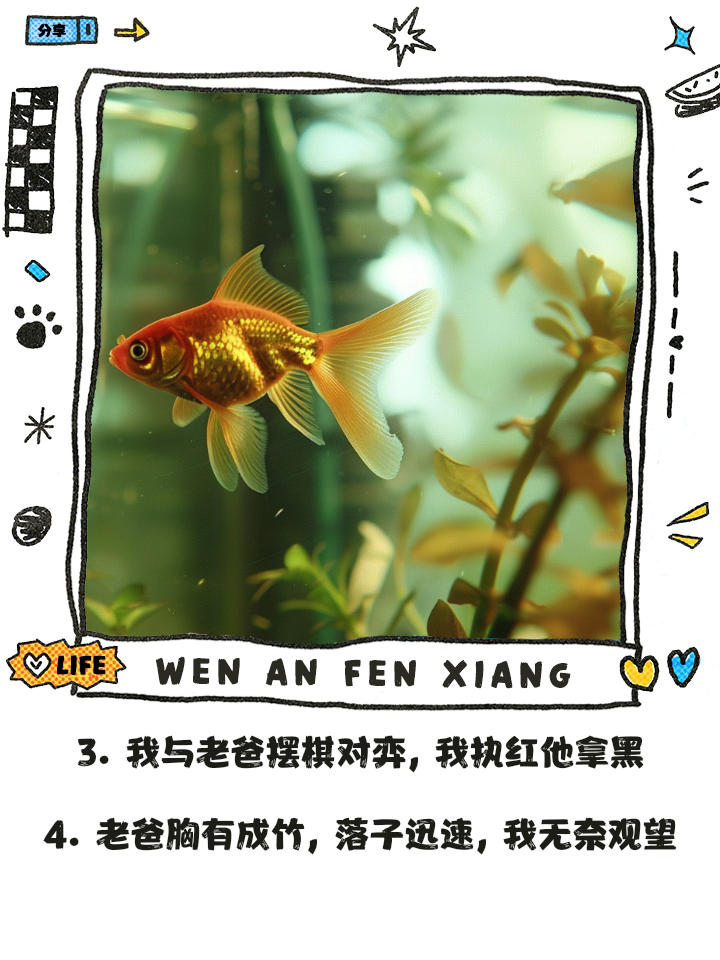 上海申花胸有成竹，巧妙应对对手