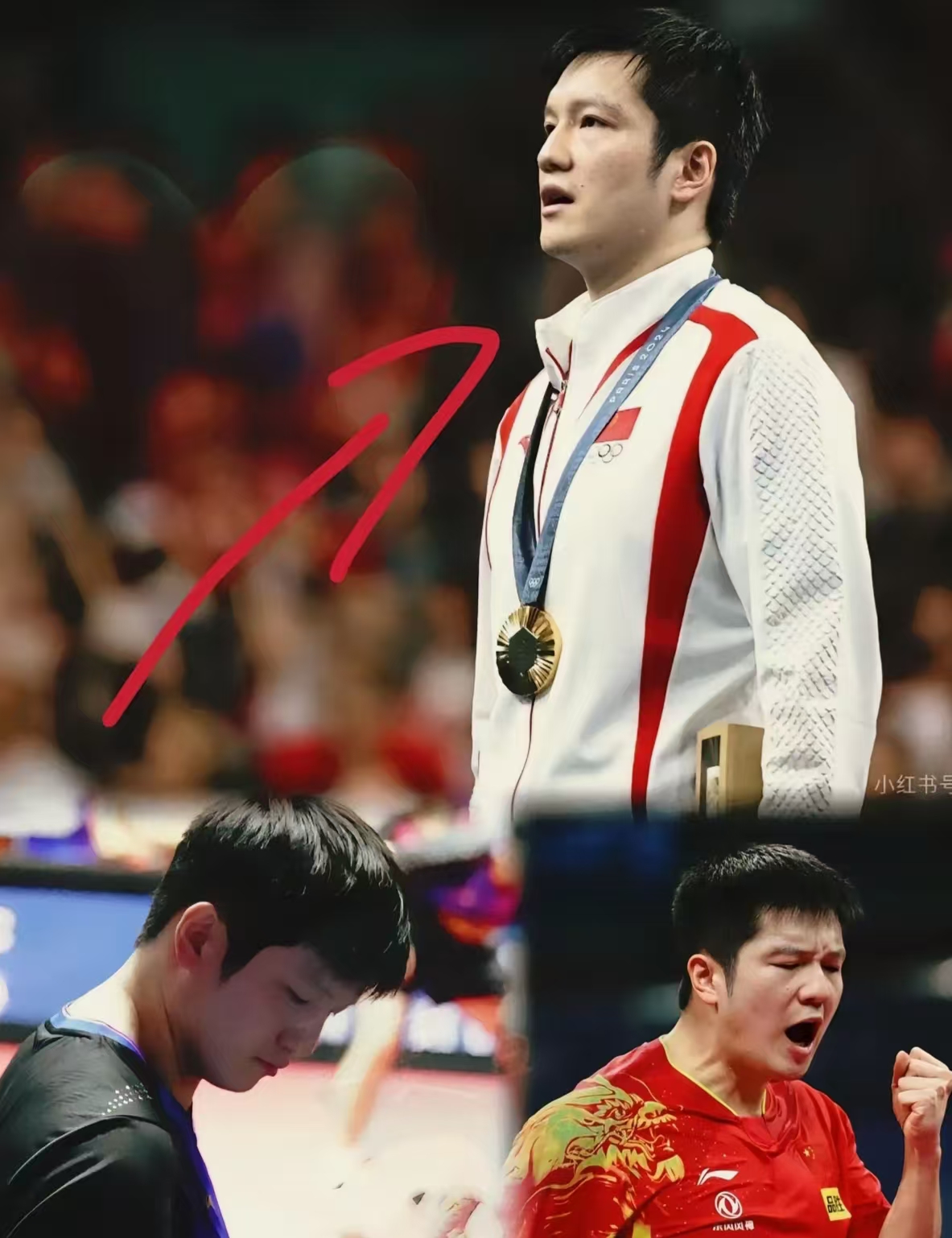 奥地利队碾压英格兰队，樊振东统治全场的简单介绍